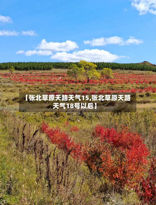 【张北草原天路天气15,张北草原天路天气18号以后】