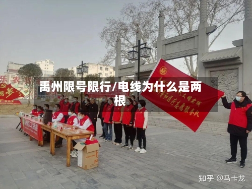 禹州限号限行/电线为什么是两根