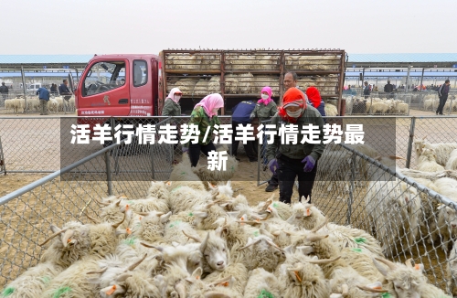 活羊行情走势/活羊行情走势最新