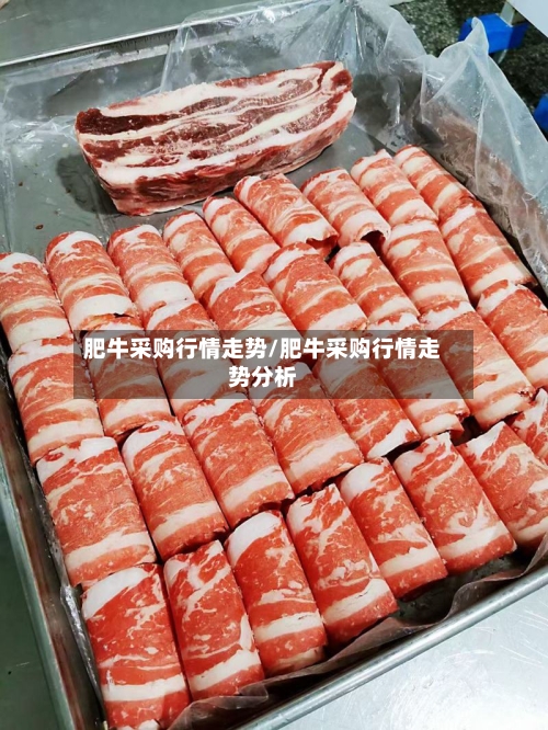 肥牛采购行情走势/肥牛采购行情走势分析