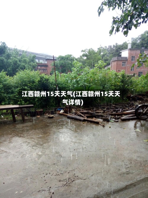 江西赣州15天天气(江西赣州15天天气详情)