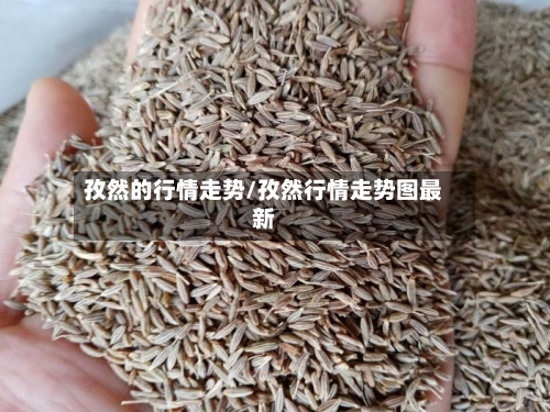 孜然的行情走势/孜然行情走势图最新