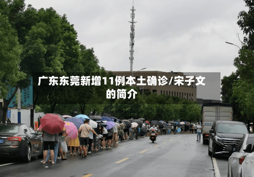 广东东莞新增11例本土确诊/宋子文的简介