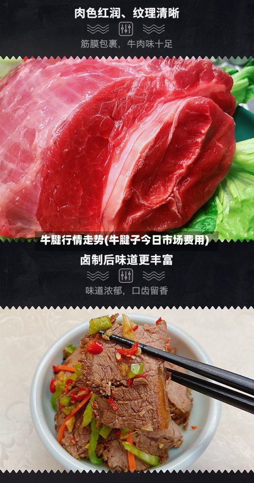牛腱行情走势(牛腱子今日市场费用)