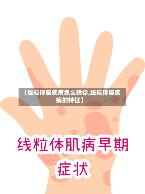 【线粒体脑疾病怎么确诊,线粒体脑疾病的特征】