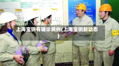 上海宝钢有确诊病例(上海宝钢新动态)