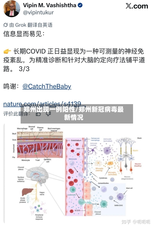 郑州出现一例阳性/郑州新冠病毒最新情况