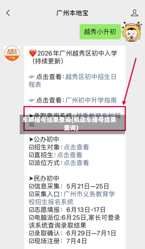 车辆摇号结果查询(机动车摇号结果查询)