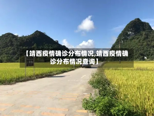 【靖西疫情确诊分布情况,靖西疫情确诊分布情况查询】