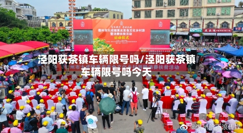 泾阳获茶镇车辆限号吗/泾阳获茶镇车辆限号吗今天