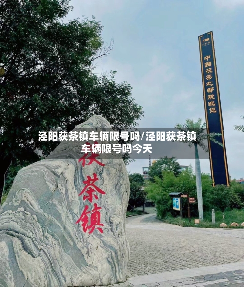 泾阳获茶镇车辆限号吗/泾阳获茶镇车辆限号吗今天
