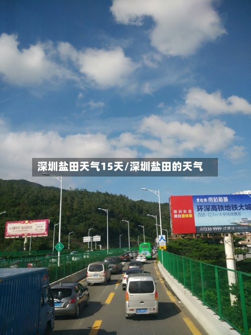 深圳盐田天气15天/深圳盐田的天气