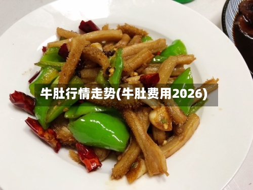 牛肚行情走势(牛肚费用2026)