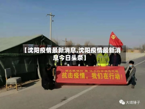 【沈阳疫情最新消息,沈阳疫情最新消息今日头条】