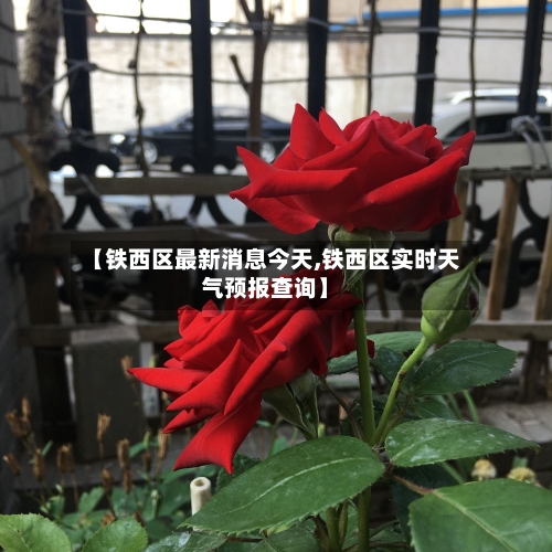 【铁西区最新消息今天,铁西区实时天气预报查询】