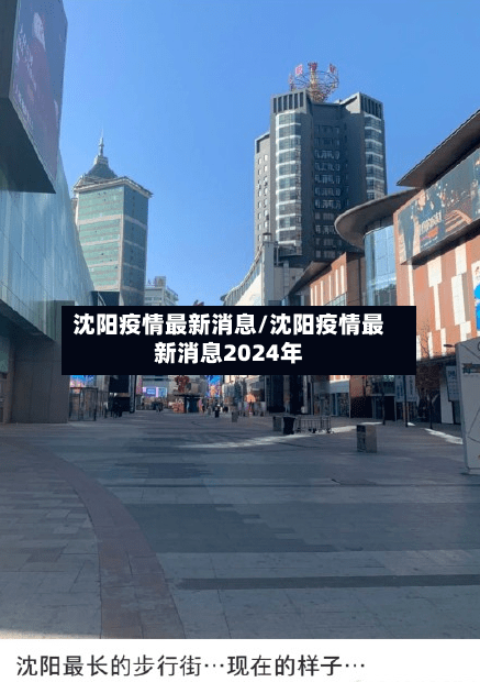 沈阳疫情最新消息/沈阳疫情最新消息2024年