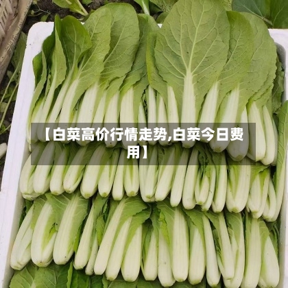 【白菜高价行情走势,白菜今日费用】