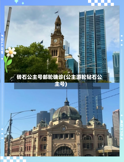 砖石公主号邮轮确诊(公主游轮钻石公主号)