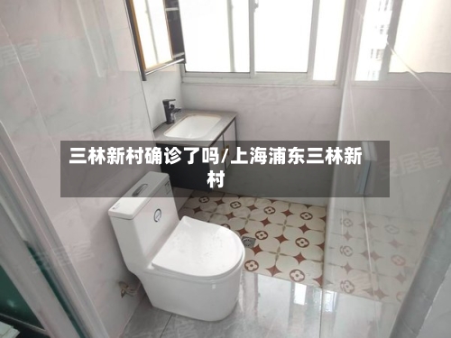 三林新村确诊了吗/上海浦东三林新村