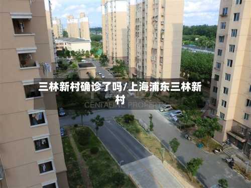三林新村确诊了吗/上海浦东三林新村
