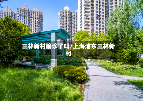 三林新村确诊了吗/上海浦东三林新村