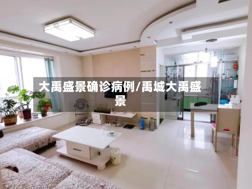 大禹盛景确诊病例/禹城大禹盛景