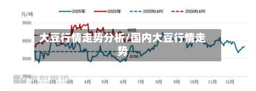 大豆行情走势分析/国内大豆行情走势