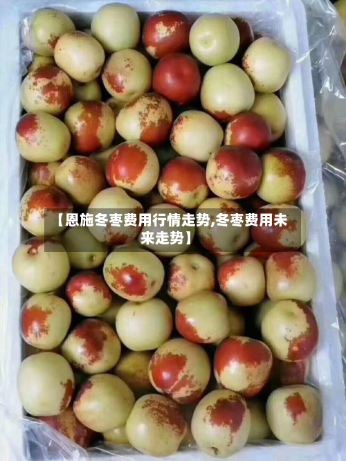 【恩施冬枣费用行情走势,冬枣费用未来走势】
