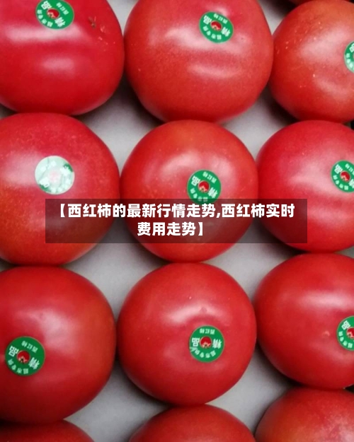 【西红柿的最新行情走势,西红柿实时费用走势】