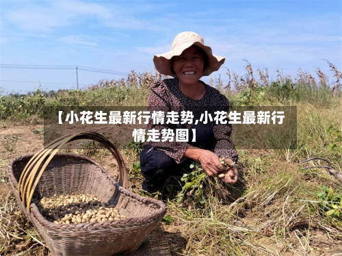 【小花生最新行情走势,小花生最新行情走势图】