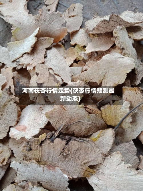 河南茯苓行情走势(茯苓行情预测最新动态)