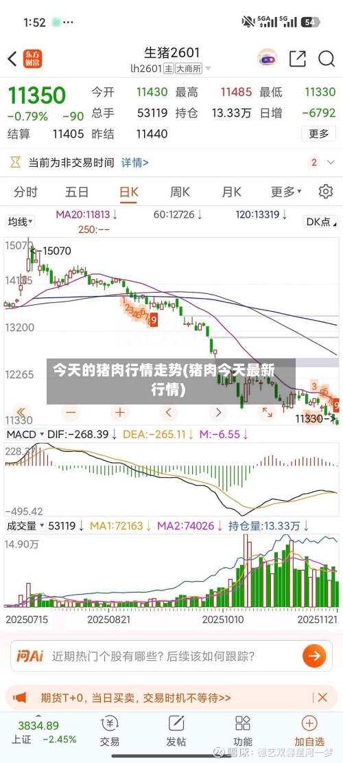 今天的猪肉行情走势(猪肉今天最新行情)