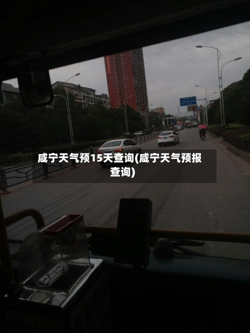 咸宁天气预15天查询(咸宁天气预报查询)