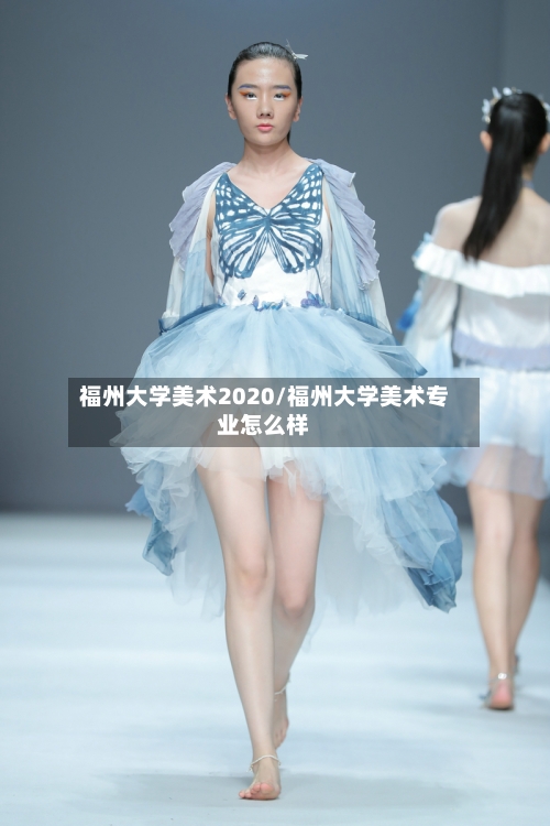 福州大学美术2020/福州大学美术专业怎么样