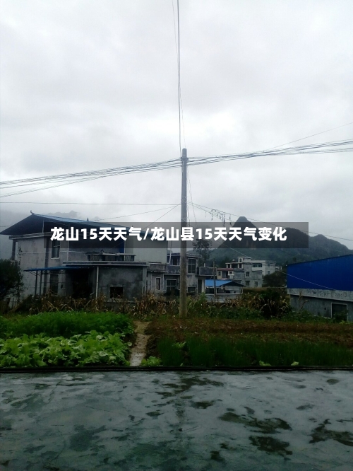 龙山15天天气/龙山县15天天气变化