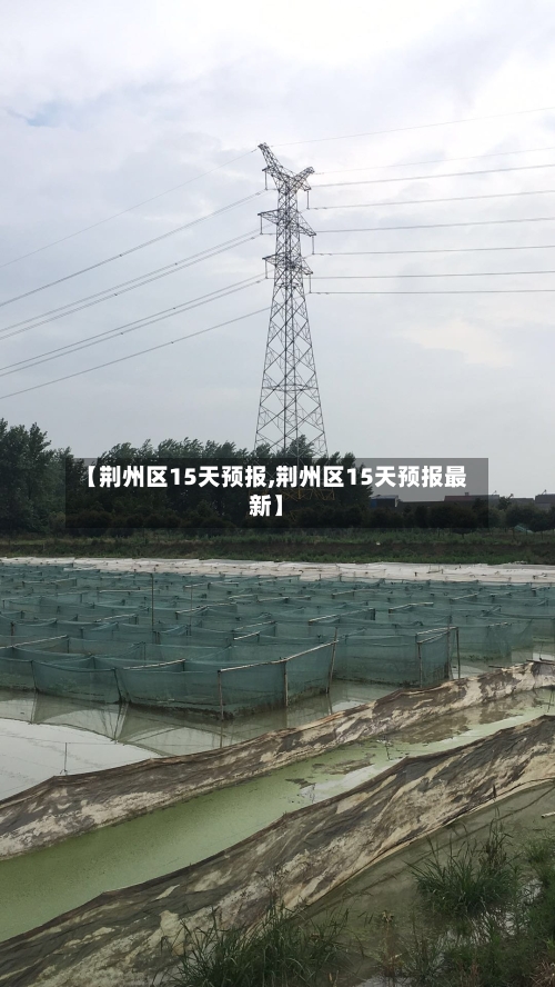 【荆州区15天预报,荆州区15天预报最新】
