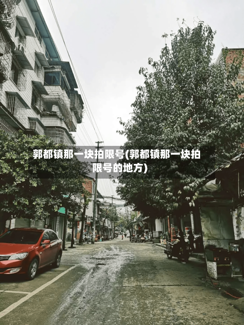 郭都镇那一块拍限号(郭都镇那一块拍限号的地方)