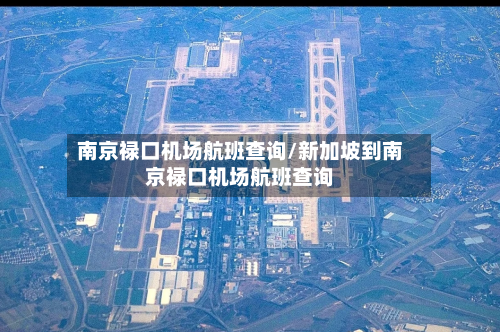 南京禄口机场航班查询/新加坡到南京禄口机场航班查询