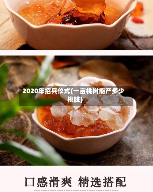 2020年招兵仪式(一亩桃树能产多少桃胶)
