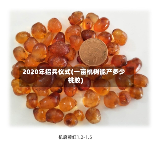 2020年招兵仪式(一亩桃树能产多少桃胶)