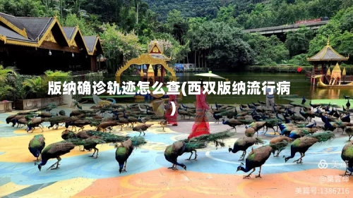 版纳确诊轨迹怎么查(西双版纳流行病)