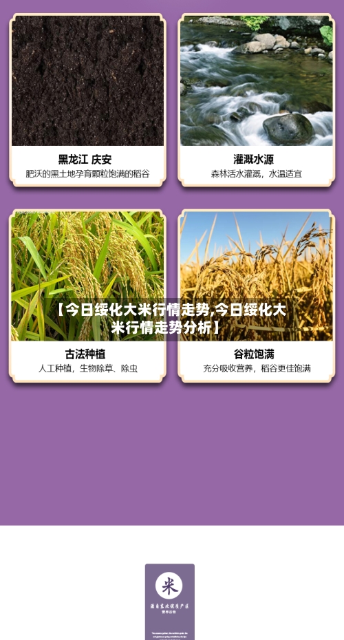 【今日绥化大米行情走势,今日绥化大米行情走势分析】