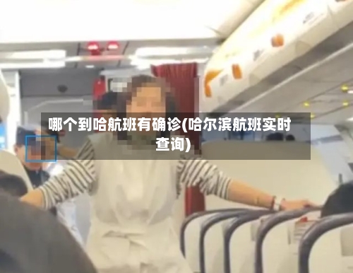 哪个到哈航班有确诊(哈尔滨航班实时查询)