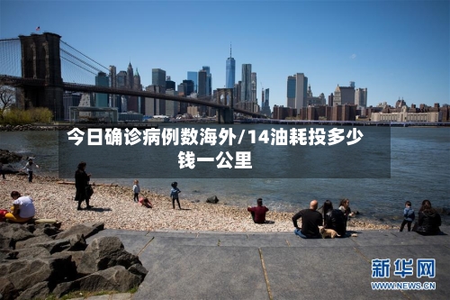 今日确诊病例数海外/14油耗投多少钱一公里