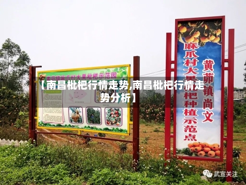 【南昌枇杷行情走势,南昌枇杷行情走势分析】