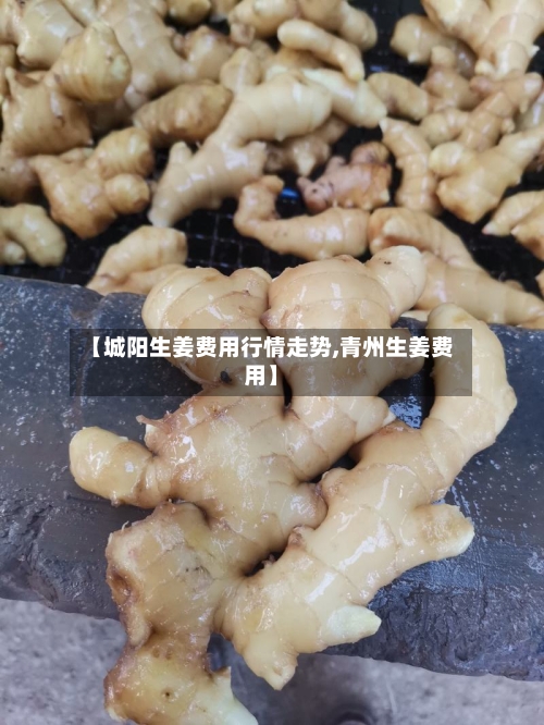 【城阳生姜费用行情走势,青州生姜费用】