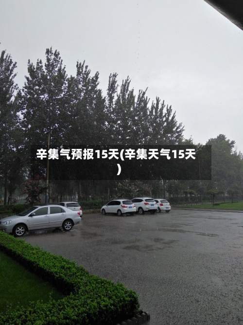 辛集气预报15天(辛集天气15天)