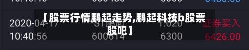 【股票行情鹏起走势,鹏起科技b股票股吧】