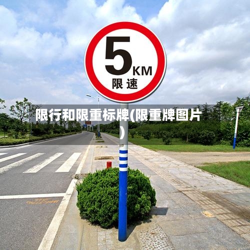 限行和限重标牌(限重牌图片)