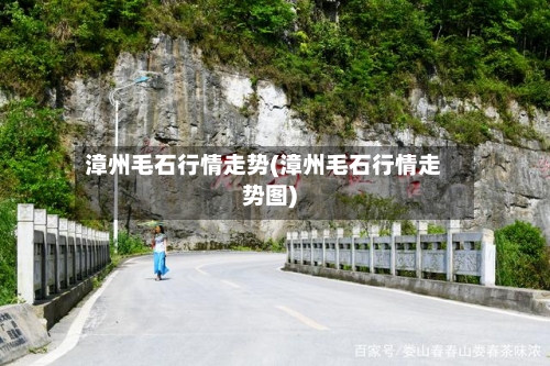 漳州毛石行情走势(漳州毛石行情走势图)